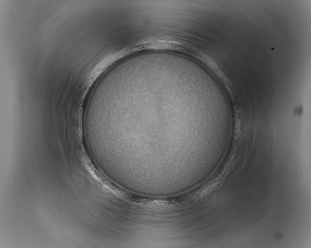 X0000115410986200911171355