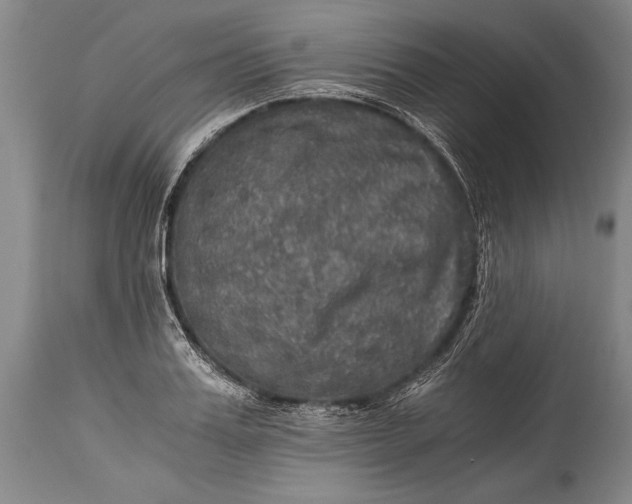 X0000115410987200911171355
