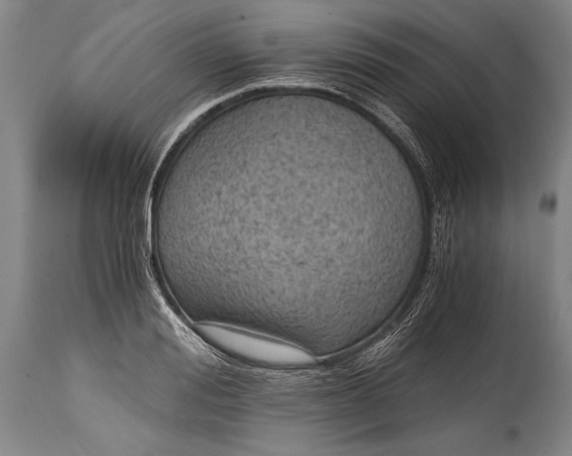 X0000115410988200911171355