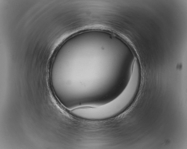 X0000115410989200911171355