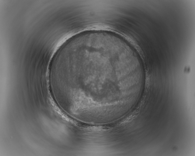 X0000115410990200911171355