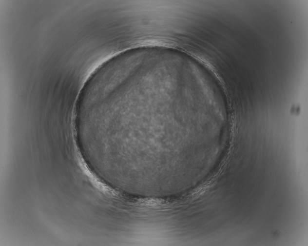 X0000115410991200911171355