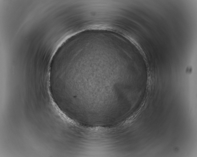 X0000115410992200911171355