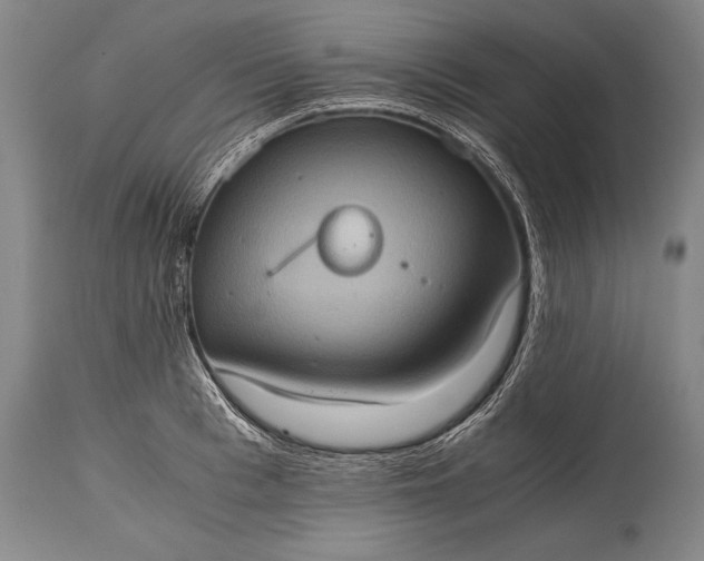 X0000115410993200911171355