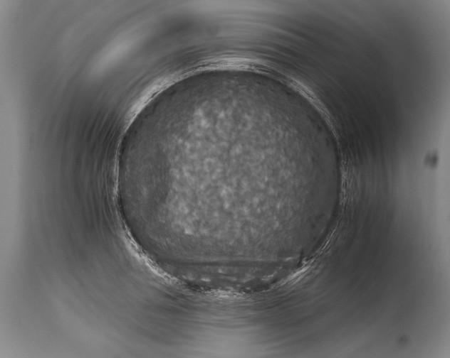 X0000115410994200911171355