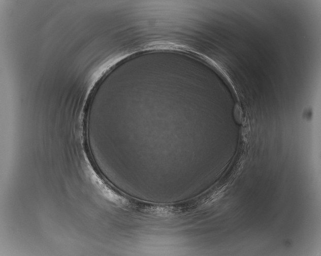 X0000115410995200911171355