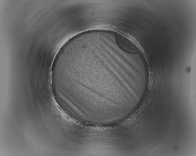 X0000115410996200911171355