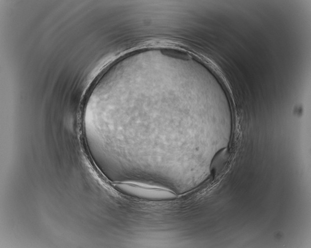 X0000115410997200911171355