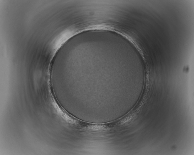 X0000115410998200911171355