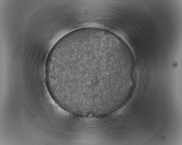 X0000115410999200911171355
