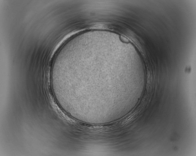 X0000115411000200911171355