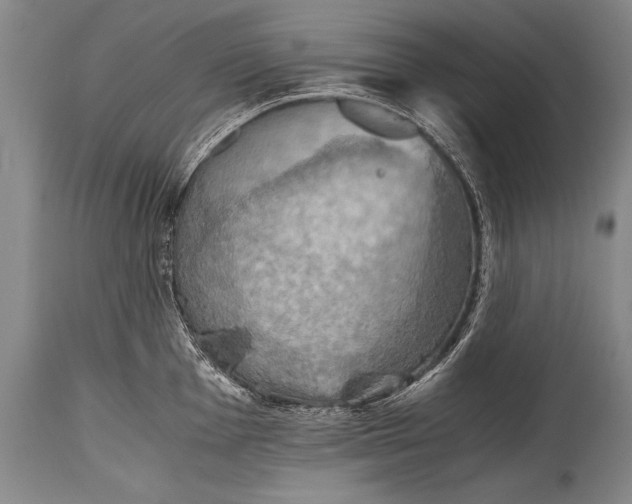 X0000115411001200911171355