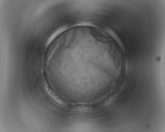 X0000115411002200911171355