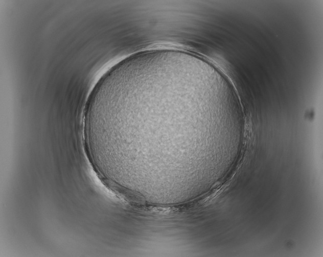 X0000115411003200911171355
