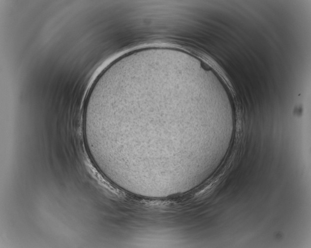 X0000115411004200911171355