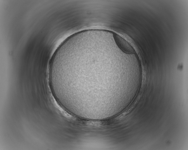 X0000115411006200911171355