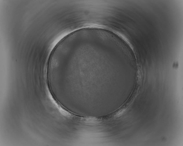 X0000115411007200911171355
