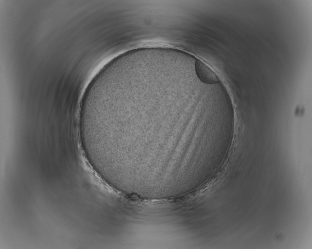 X0000115411008200911171355