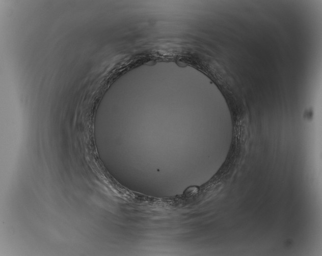 X0000115411009200911171354