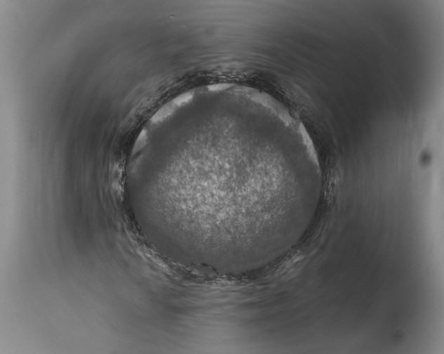 X0000115411010200911171354