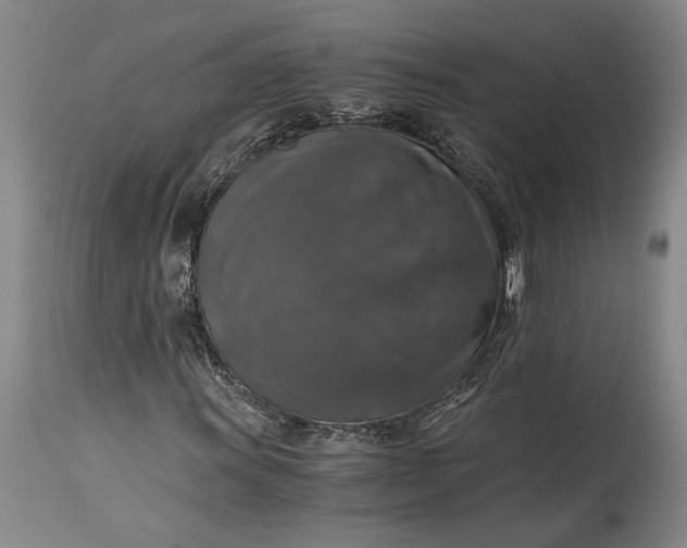 X0000115411011200911171354