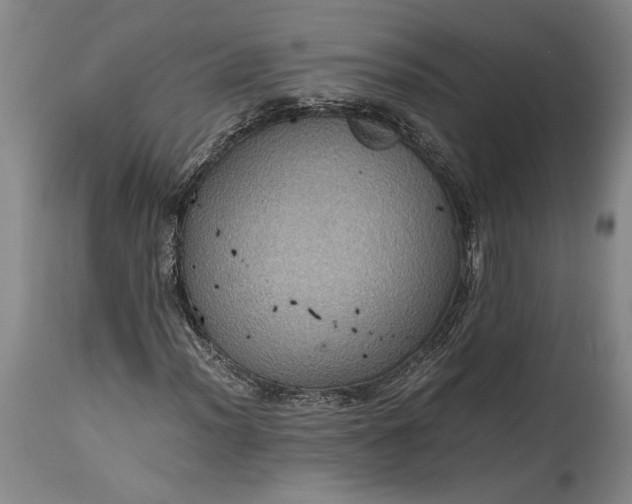 X0000115411012200911171354