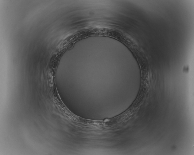 X0000115411013200911171354