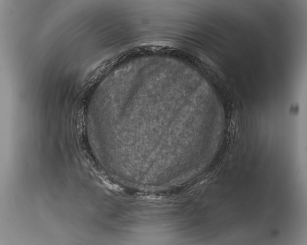 X0000115411014200911171354