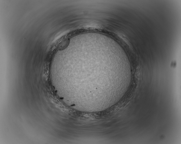 X0000115411015200911171354