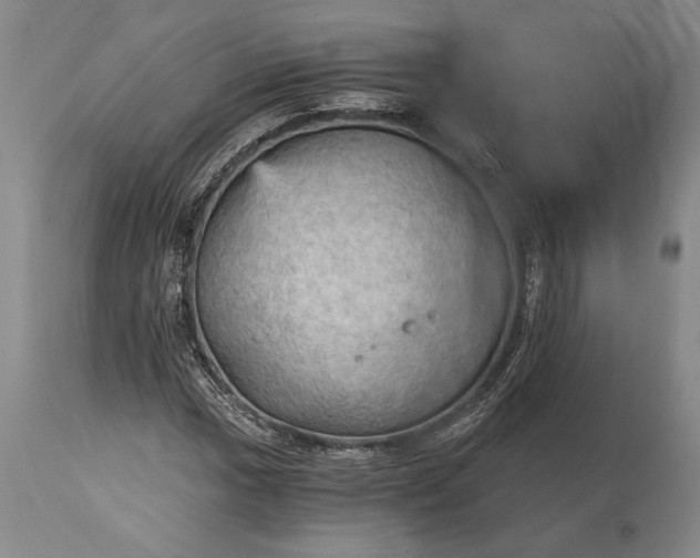 X0000115411017200911171354