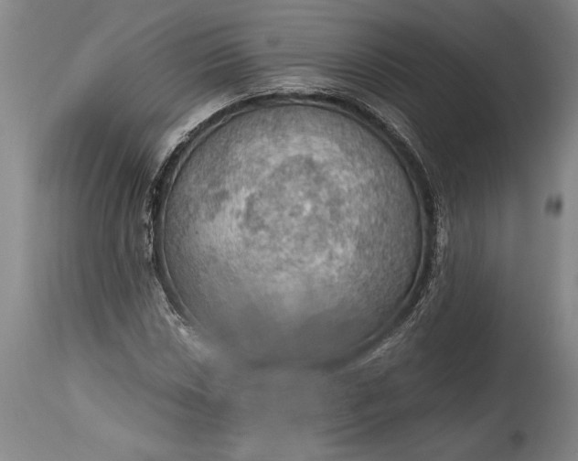 X0000115411018200911171354