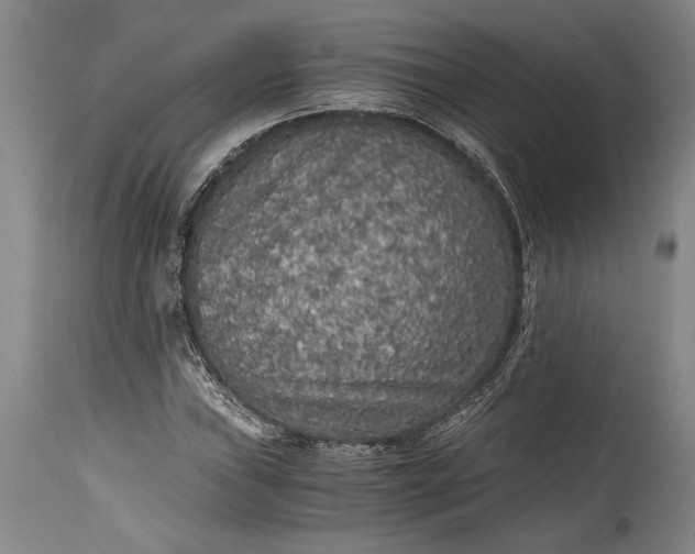 X0000115411019200911171354