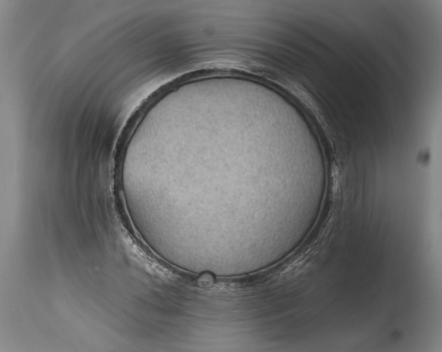 X0000115411020200911171354