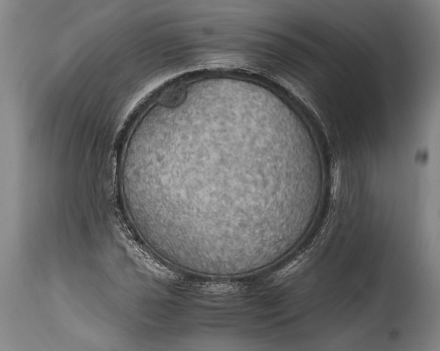 X0000115411021200911171354