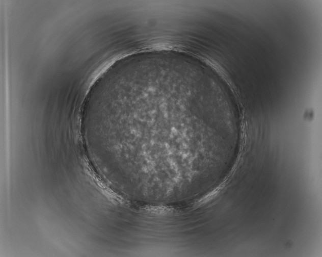 X0000115411023200911171354