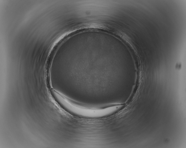 X0000115411024200911171354