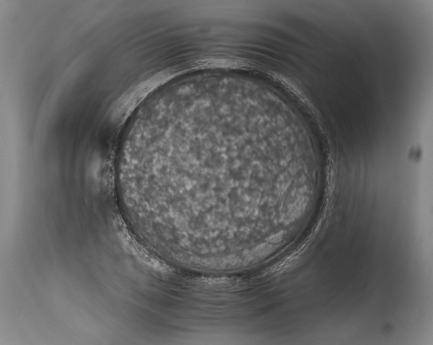 X0000115411025200911171354