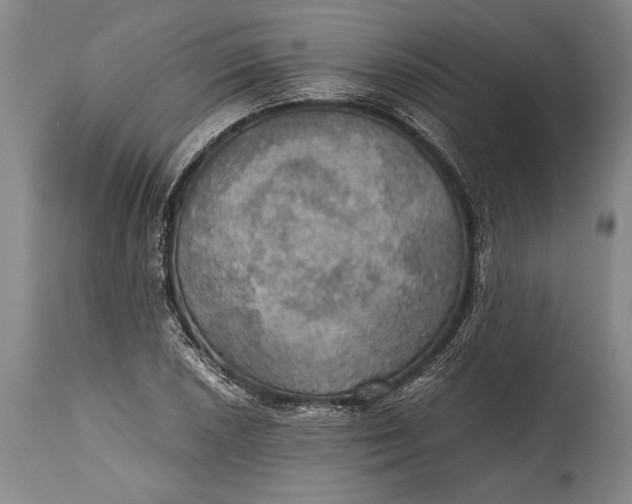 X0000115411026200911171354