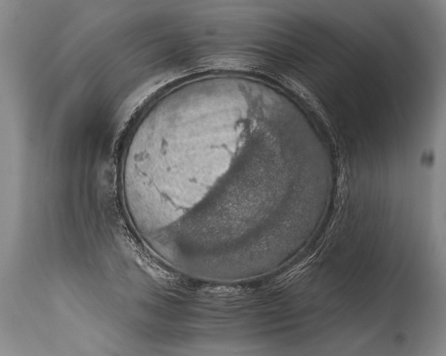 X0000115411027200911171354