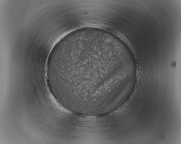 X0000115411028200911171354