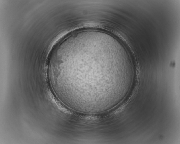 X0000115411029200911171354