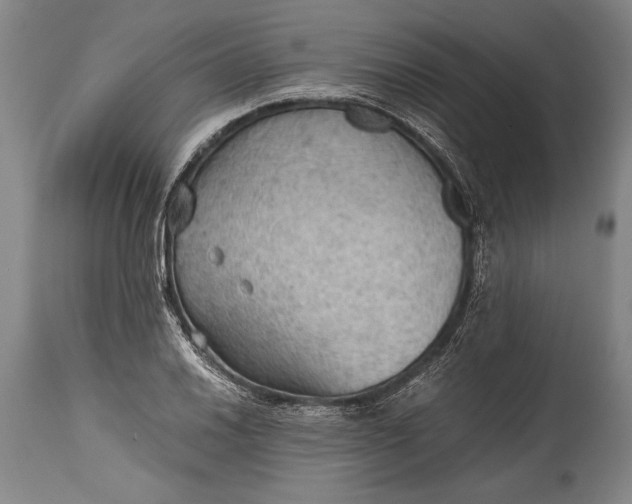 X0000115411030200911171354