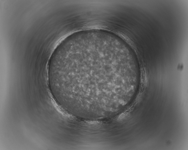 X0000115411031200911171354