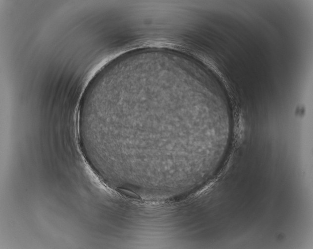 X0000115411032200911171354
