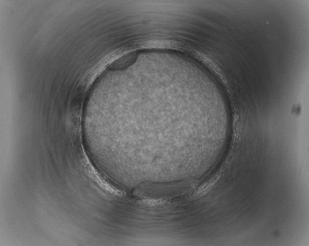 X0000115411033200911171354