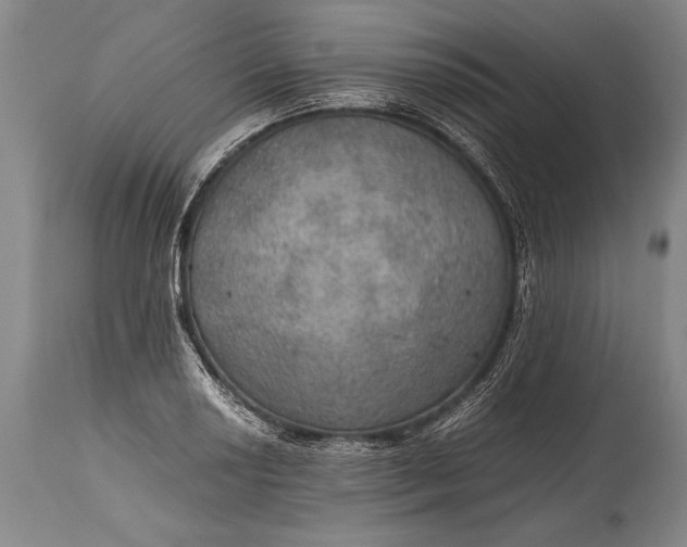 X0000115411034200911171354