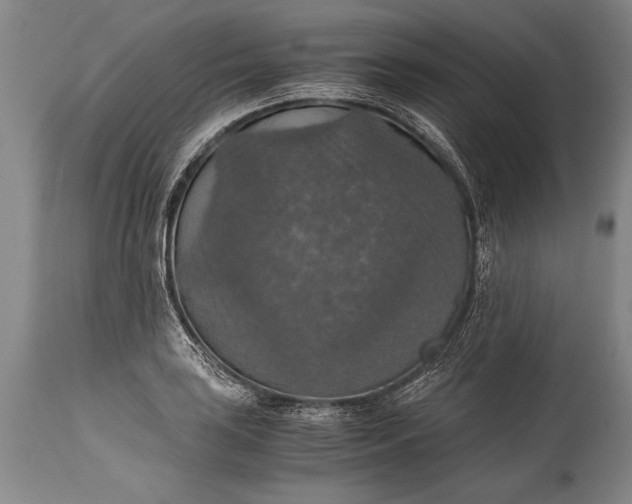 X0000115411035200911171354