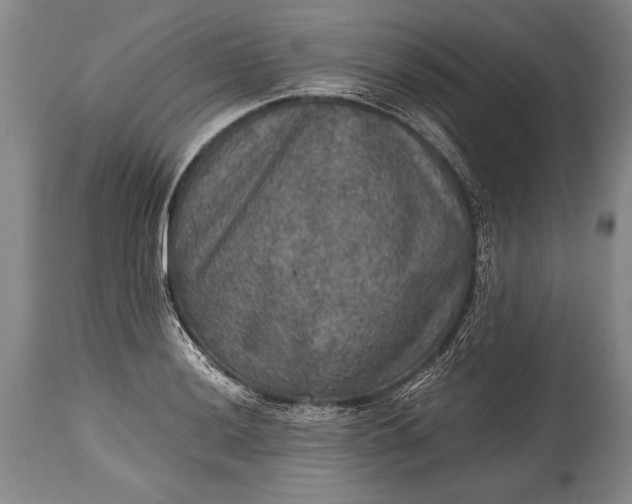 X0000115411036200911171354