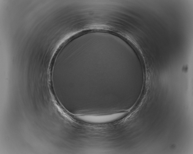 X0000115411037200911171354