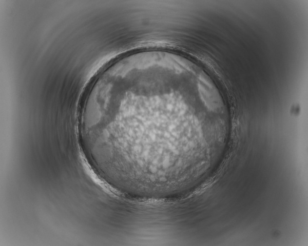 X0000115411038200911171354